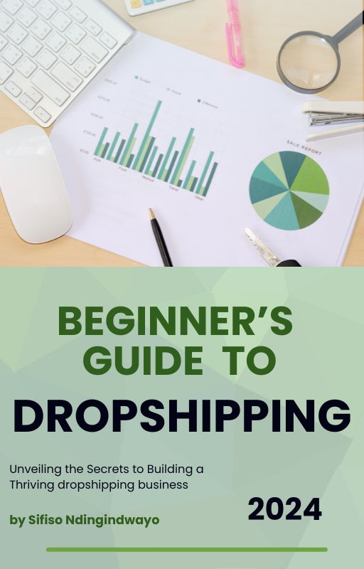 Beginner's Guide to Dropshipping